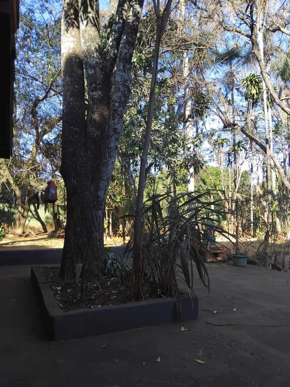 Sitio Bemtevi - Jockey Camping - Uberlandia Villa Екстериор снимка